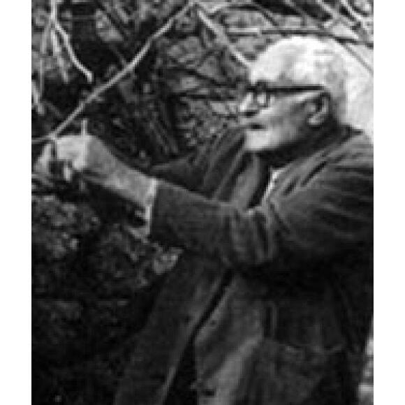 Immagine: Foto Personaggi Illustri - Testarotta Orazio
