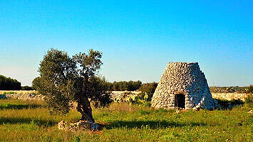 Immagine: Foto_campagnap.jpg