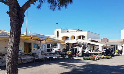 Immagine: fotomercatop.jpg