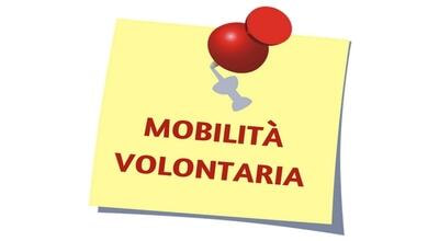 Immagine: mobilitvolontaria_1.jpg