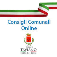 Immagine: Sedute Consiglio Comunale