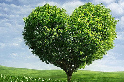 Immagine: ambientep.jpg