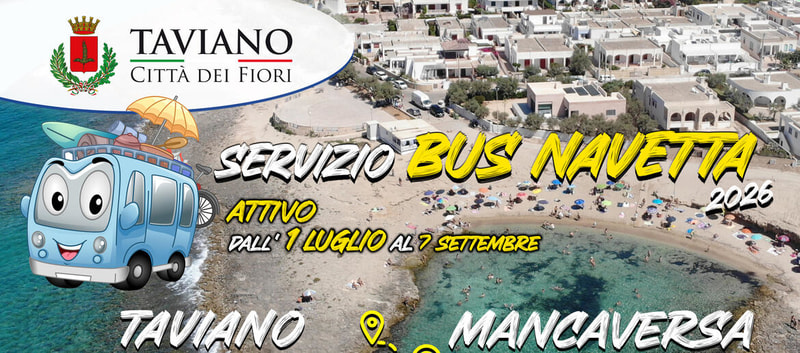 Immagine: bus navetta 2026