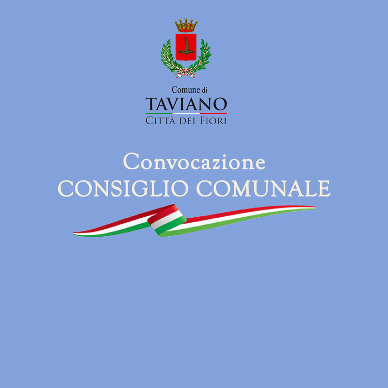 Immagine: Consiglio Comunale 