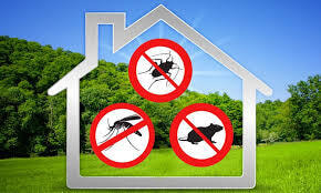 Immagine: DISINFESTAZIONI.jpg