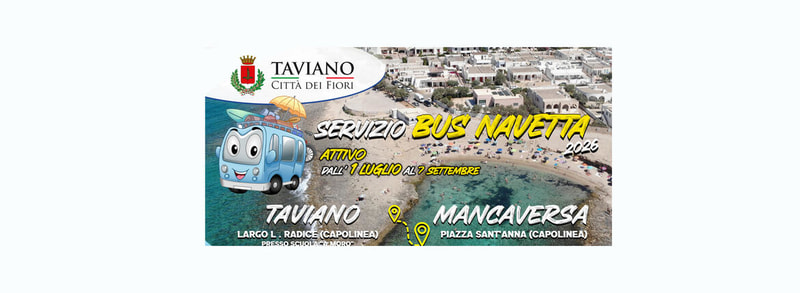 Immagine: navetta 