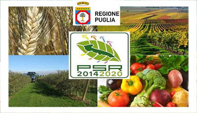 Immagine: psrsito.jpg